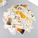 Stickers for creativity "Dog Life" set of 46 pcs 4.4x4.4x1.1 cm