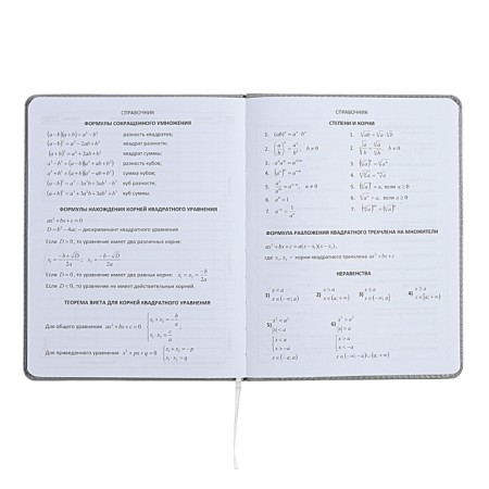 The universal diary for grade 1-11 did not take the sausage, solid cover, artificial leather, with foam rubber, liesse, 80 g/m2-7