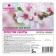 Crystal rinser linen "Sakura petals", concentrate, 5 liters