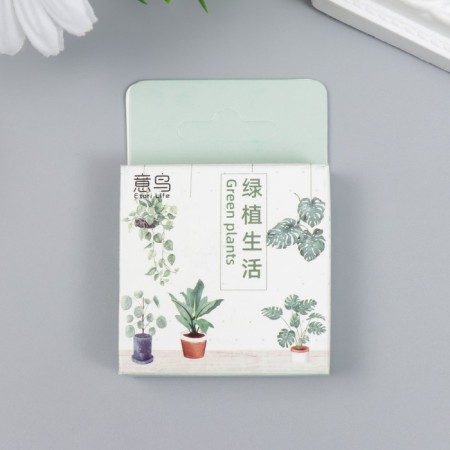 Stickers for creativity "Home plants" set 46 pcs 6.3x4.3x1.1 cm-3