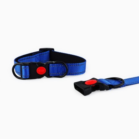 A collar with a nylon lining with Fasteks 2 cm, a bil-3