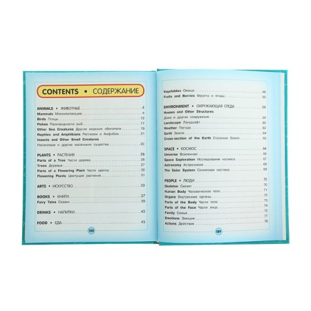 Anglo-Russian visual dictionary for children-3