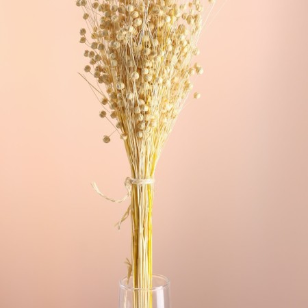 Set of dried flowers "Lenon-debunge", banch length 55-60 (+/- 6 cm).-1