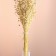 Set of dried flowers "Lenon-debunge", banch length 55-60 (+/- 6 cm).