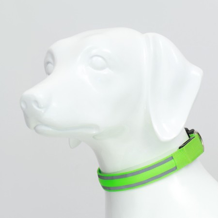 Collar with backlight double strip size S, Osh 35-43 x 2.5 cm, 3 glow modes Green-2