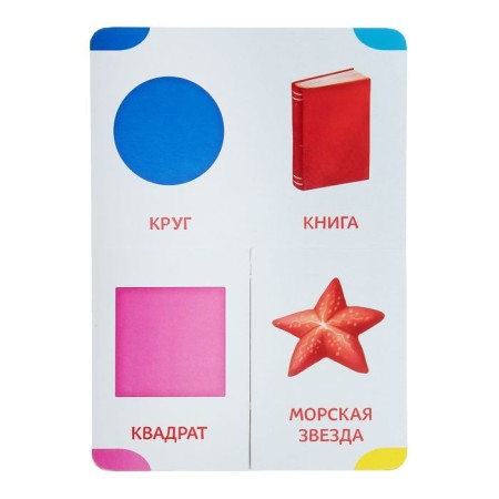 Cardboard book "Forms", 10 p.-1