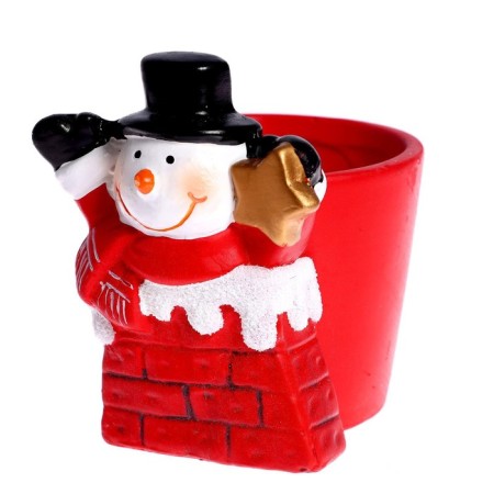 Set for experiments “grow grass”, snowman-2