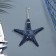 Interior souvenir "Marine Star" 23cm
