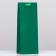 Package for the bottle "Green" 13 x 36 x 10 cm, 1 pc.