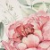 Ethel towel Tenderness 40x73 cm, 100% HL, sarzha 190 g/m2