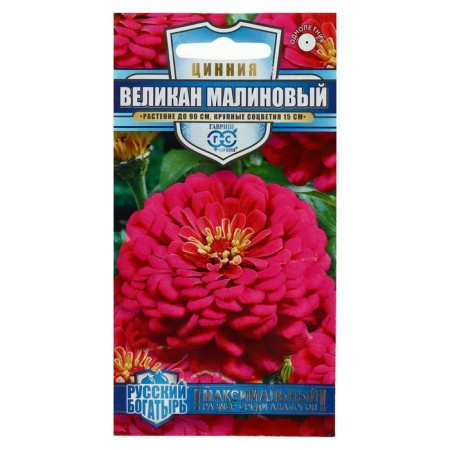 Seeds of Tsinnia flowers "Giant Raspberry", series Russian hero, 0.3 g