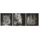 Modular painting on the subframe "cats" 3 pcs.-28*28cm; 28x84cm