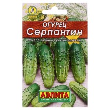 Seeds of cucumber 