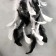 Yin-Yan Dreams Black and White Figs 44x15 cm