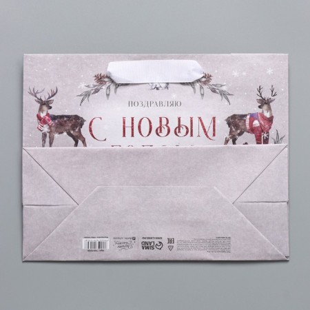 Craft horizontal "Fairy Tale", MS 23 x 18 x 10 cm, New Year-6