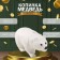 Piggy bank "Bear White" 18.5 x 14 x 36 cm