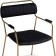 ASPEN Metal/velor Metal Carcass, gold/black 60x65x86 cm