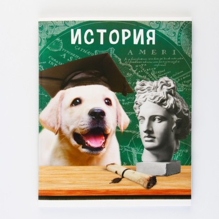 An objective note 48 sheets, A5, cute pets, with reference materials “September 1: History”, cover coated cardboard 230 gr., Inner block in a cage 80 gr., Beliece 96%, block No. 1.-6