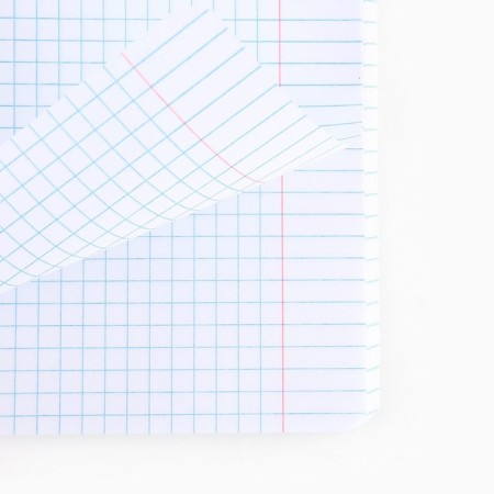 Notebook in a cage, 48 sheets A5 on a paper clip 5 pcs., Inner block No. 1 Mix “September 1: Bright Minimalism” VD LAK-3
