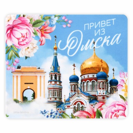 Vinet Vinyl "Omsk", 6 x 7 cm-2