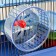 A cage for rodents with plastic shelves and filling, 36 x 23 x 34 cm, blue