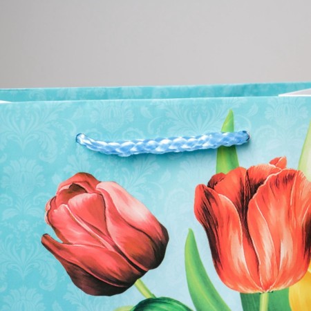 Package Gift Laminated Vertical, Packaging, Tulips, MS 18 x 23 x 8 cm-3