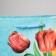 Package Gift Laminated Vertical, Packaging, Tulips, MS 18 x 23 x 8 cm