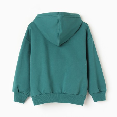 Sweatshirt for boys, launched, emerald color, height 146 cm-3