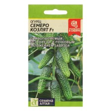 Seven Kogur Seven Cucumber, F1, this. ALT, c/n, 5 pcs