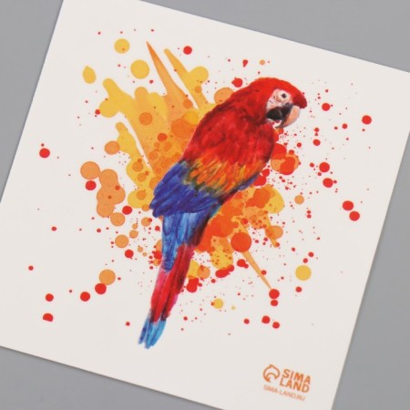 Tattoo on the body color "watercolor. Parrot Ara" 6x6 cm-5