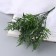 Bouquet "Fern Decorative Galant" 31 cm, mix
