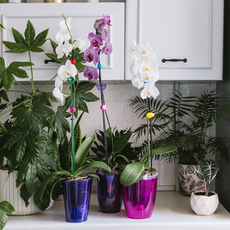Pot for orchids, 1.2 l, 12.5 × 16.6 cm, plastic, transparent purple-3