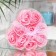 Soap roses, pink, set of 9 pcs.