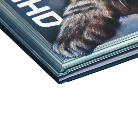Universal diary for grades 1-11 fluffy happiness, solid cover, matte lamination, 40 sheets-2