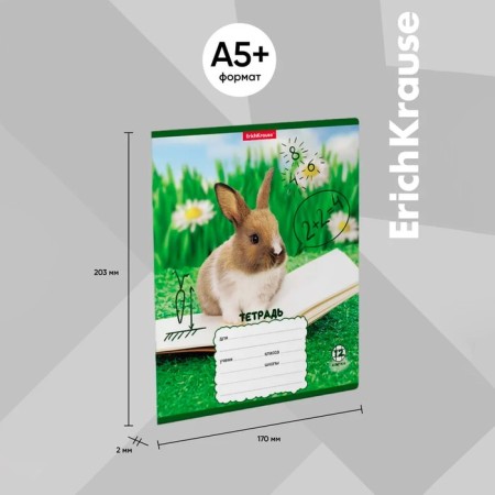 Notebook 12 sheets, cage, erichkrause, rabbits, mix-17