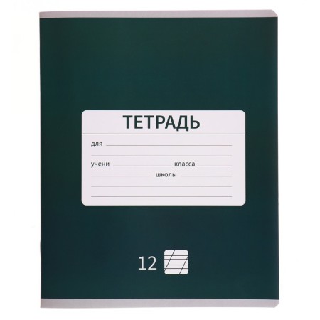 Notebook 12 sheets in the slanting line is a plain "New School", cover coated paper, VD-LK, OFSET block, MIX-6