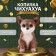 Копилка "Щенок Чихуа Хуа " 15 х 9 х 11,5 см.