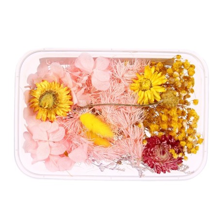 Set for creativity "Set of dried flowers" is large, pink + yellow-1