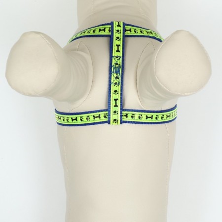 Set "Bones and Paws" reflective, leash 120 x 1.5 cm, OG 36-52 cm, blue-3