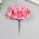 Flowers for decorating "tea roses" 1 bouquet = 6 colors 9.5 cm bright pink