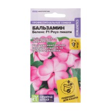 Balzamin Flowers 