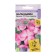 Balzamin Flowers "Beans", Rose Pikoti, this. Alt, c/n, 5 pcs