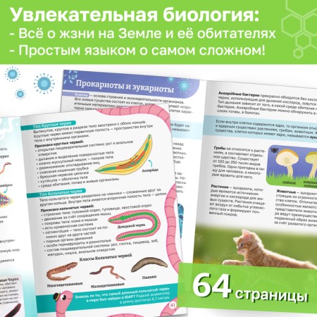 A set of encyclopedias in the soft binding "Physics, biology and geography for children"-2