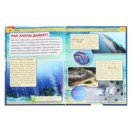 Encyclopedia with developing tasks "Sharks"-5