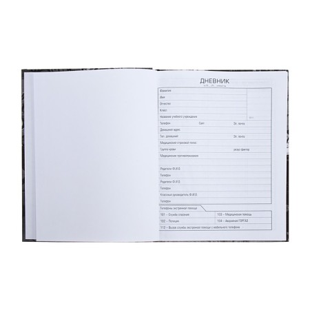Universal diary for grades 1-11 Selena and Wolf, solid cover, matte lamination, 40 sheets-3