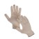 Garden gloves, x/b, knitting grade 10, 4 threads, size 9, without coating, white