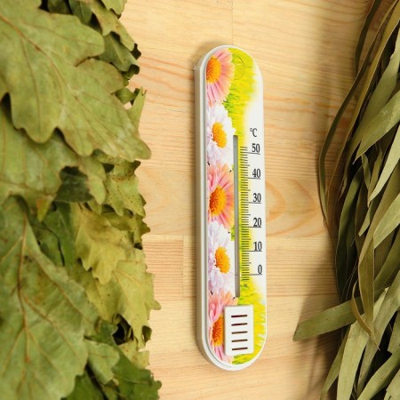 The thermometer is the room P-1 "Flower" (t 0 + 50 s) in the bag-3