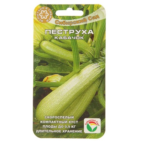 Semen zucchini "Pestrukh", 5 pcs.