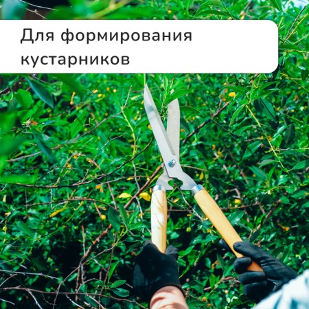 Kustorez, 19 "(48 cm), with wooden handles, Greengo-1