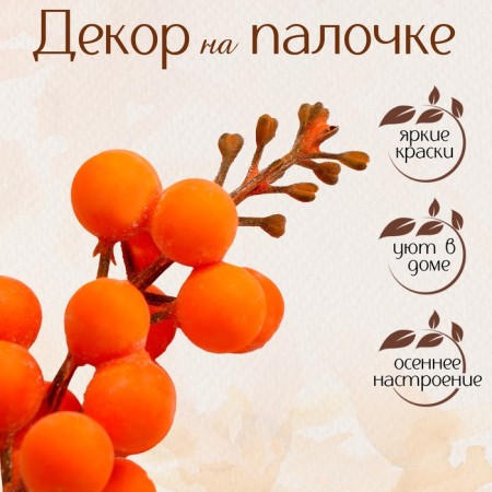 Decor "Orange Berries" 4 × 4 × 11 cm